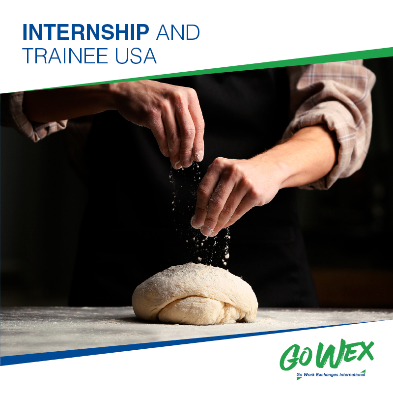 Internship and Trainee USA